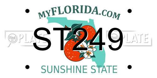 ST249 Florida License Plate