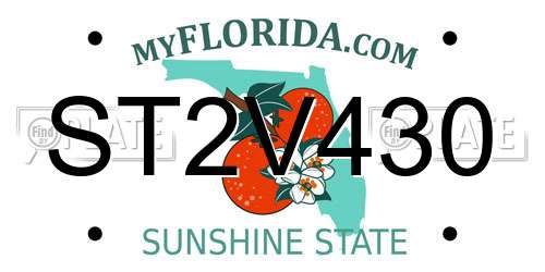 ST2V430 Florida License Plate
