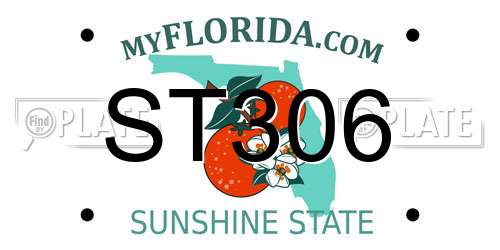 ST306 Florida License Plate