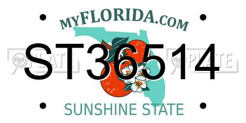 ST36514 Florida License Plate