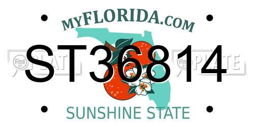 ST36814 Florida License Plate