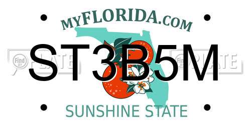ST3B5M Florida License Plate