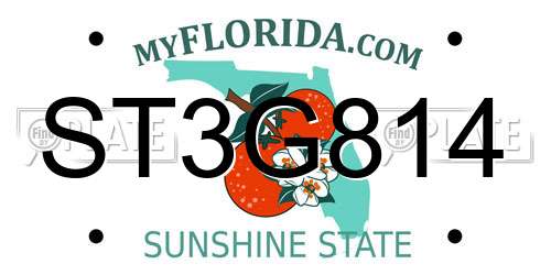 ST3G814 Florida License Plate
