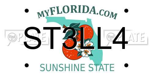 ST3LL4 Florida License Plate