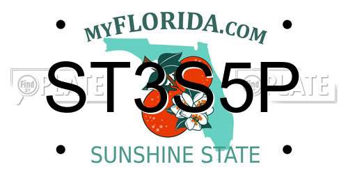 ST3S5P Florida License Plate