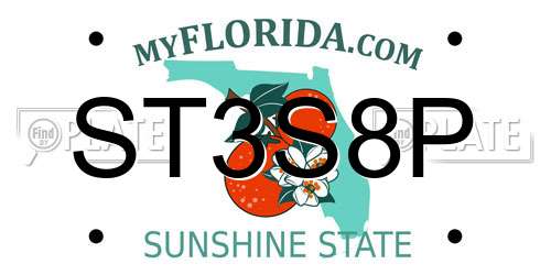 ST3S8P Florida License Plate