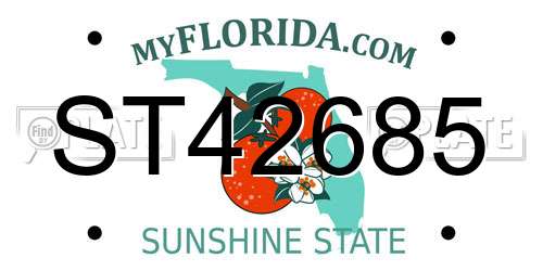 ST42685 Florida License Plate