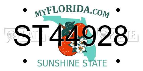 ST44928 Florida License Plate