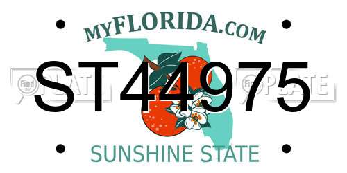 ST44975 Florida License Plate