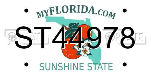 ST44978 Florida License Plate