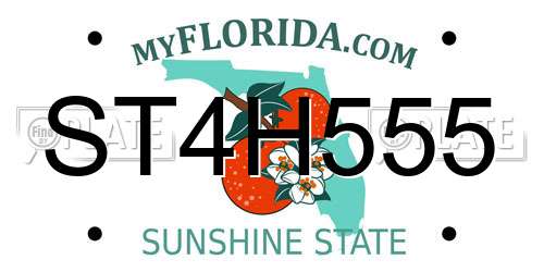 ST4H555 Florida License Plate