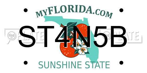 ST4N5B Florida License Plate