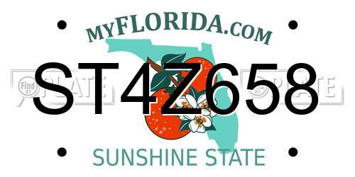 ST4Z658 Florida License Plate