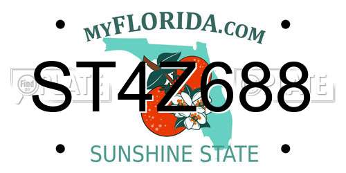 ST4Z688 Florida License Plate