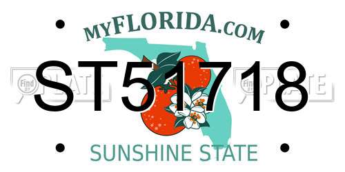 ST51718 Florida License Plate
