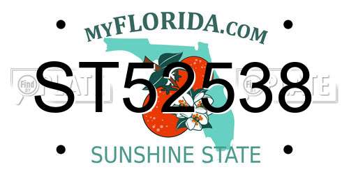 ST52538 Florida License Plate