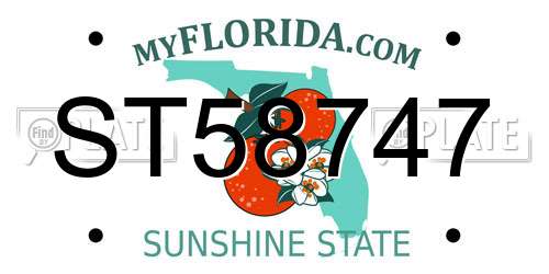 ST58747 Florida License Plate