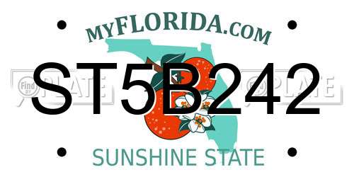 ST5B242 Florida License Plate