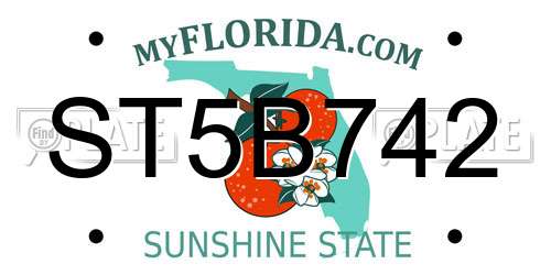 ST5B742 Florida License Plate