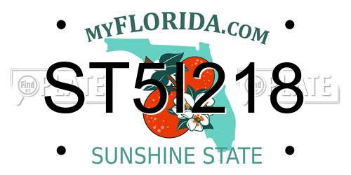 ST5I218 Florida License Plate