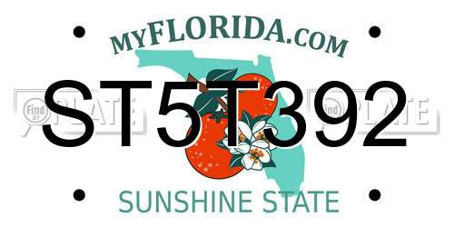 ST5T392 Florida License Plate