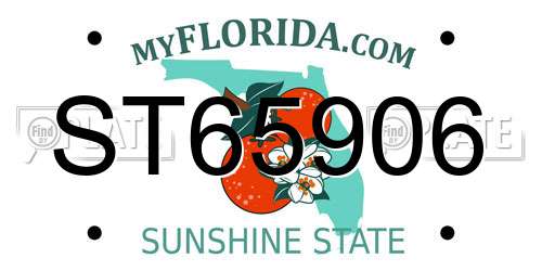 ST65906 Florida License Plate
