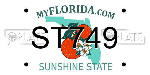 ST749 Florida License Plate