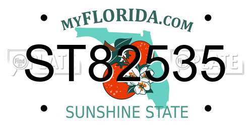 ST82535 Florida License Plate