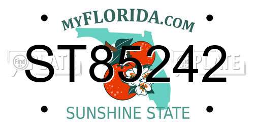 ST85242 Florida License Plate