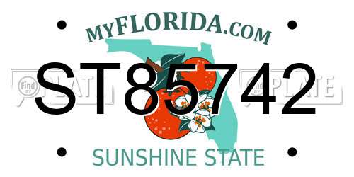 ST85742 Florida License Plate
