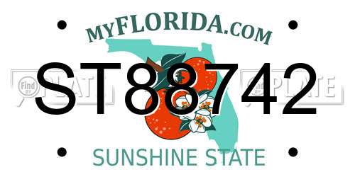 ST88742 Florida License Plate