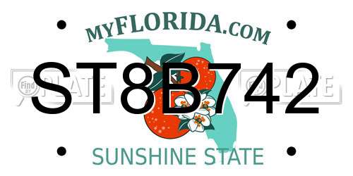 ST8B742 Florida License Plate