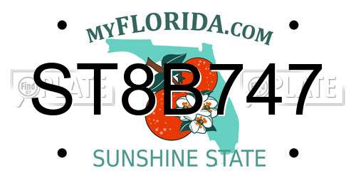 ST8B747 Florida License Plate