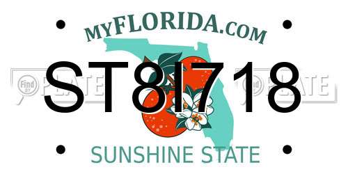 ST8I718 Florida License Plate