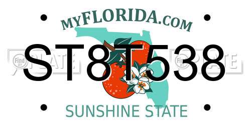 ST8T538 Florida License Plate