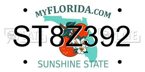 ST8Z392 Florida License Plate