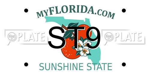 ST9 Florida License Plate
