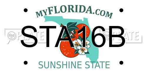 STA16B Florida License Plate