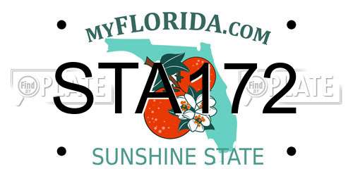 STA172 Florida License Plate