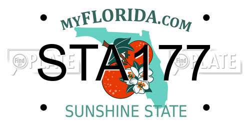 STA177 Florida License Plate
