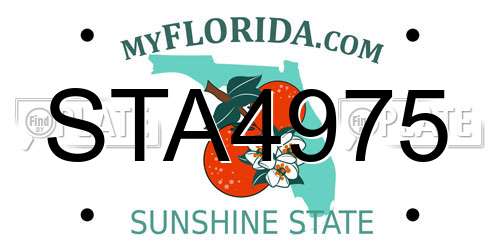 STA4975 Florida License Plate