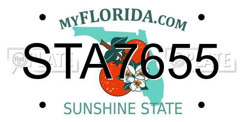 STA7655 Florida License Plate