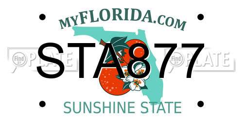 STA877 Florida License Plate