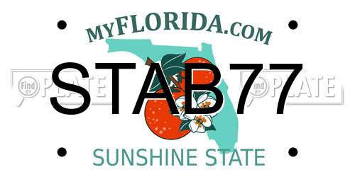 STAB77 Florida License Plate
