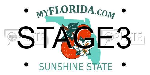 STAGE3 Florida License Plate