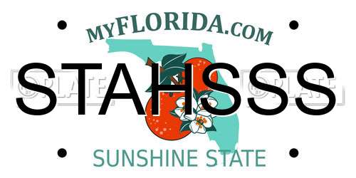 STAHSSS Florida License Plate
