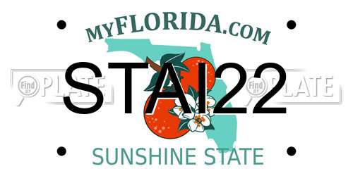 STAI22 Florida License Plate
