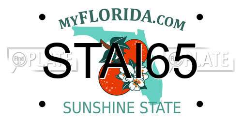 STAI65 Florida License Plate