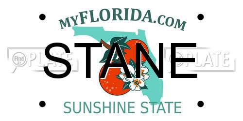 STANE Florida License Plate