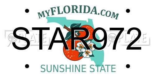 STAR972 Florida License Plate